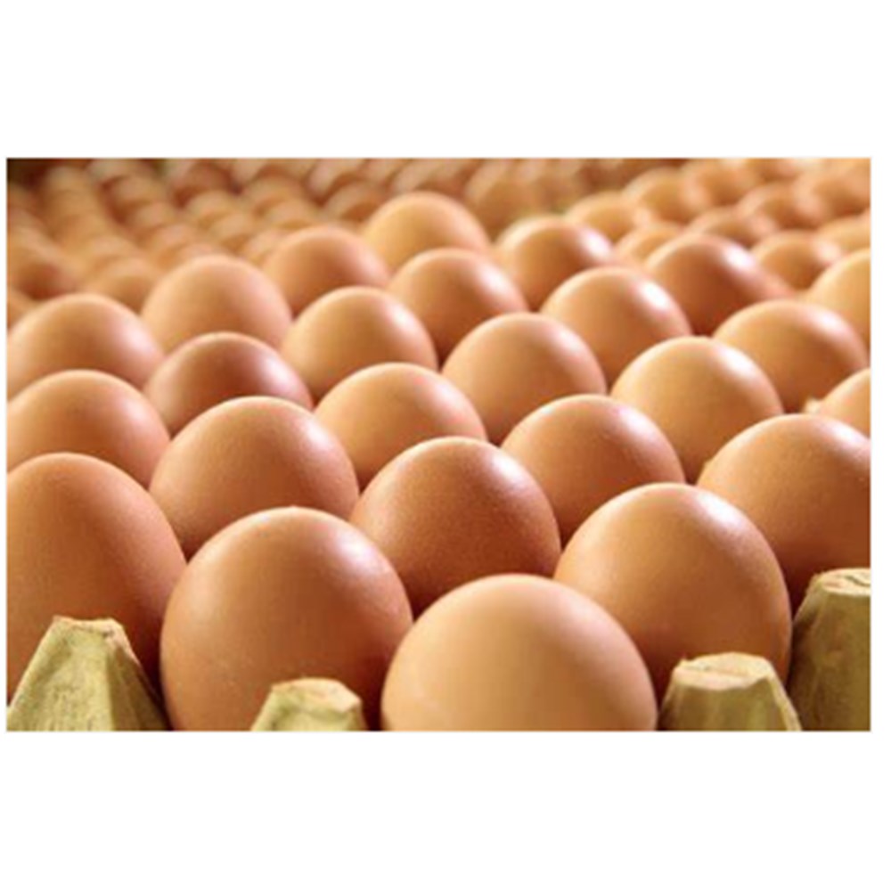 Eggs X-LARGE 700g x 15Doz