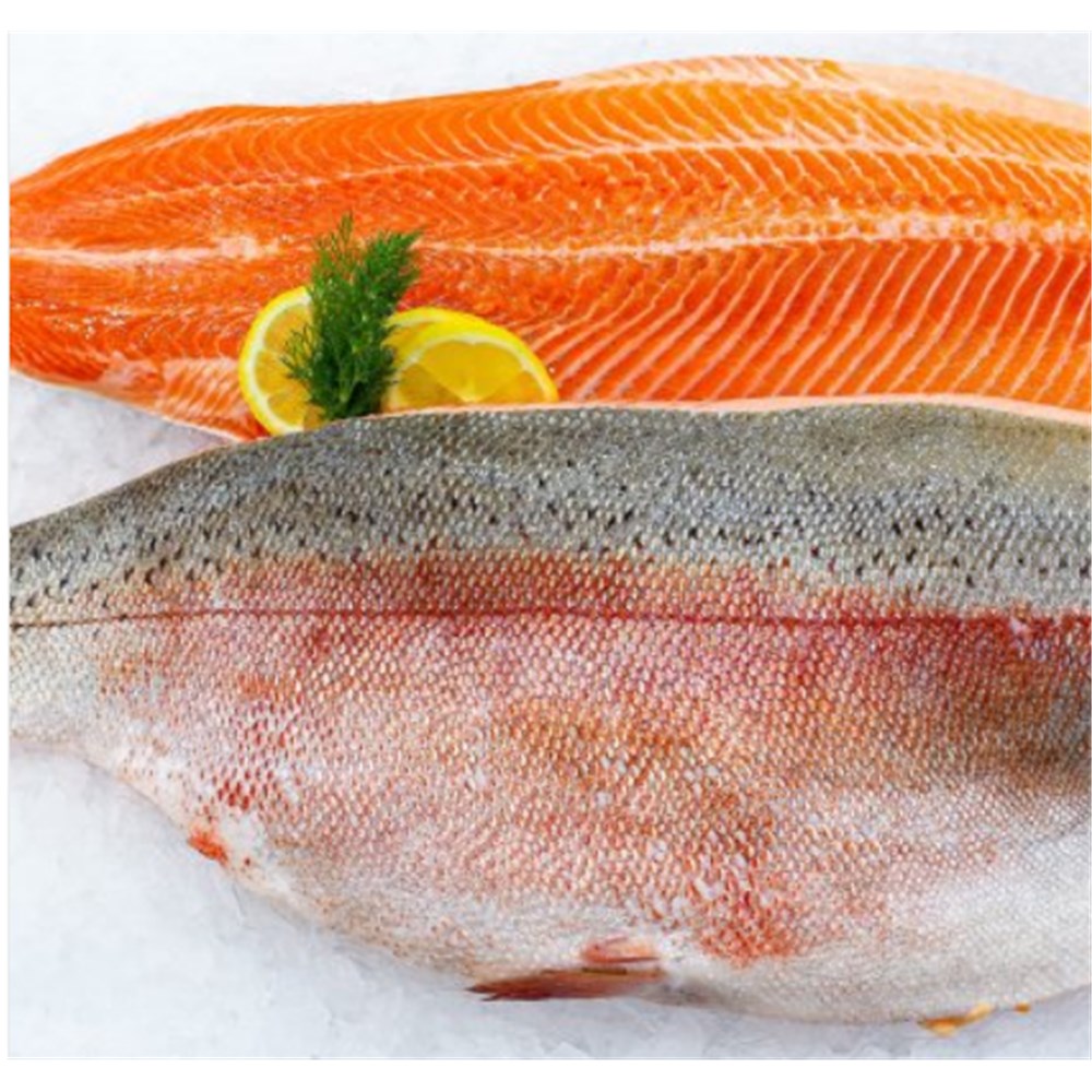 Ocean Trout Fillets Skin On R/W