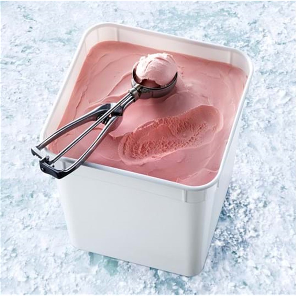 Sorbet Raspberry Juice Bar 10Lt