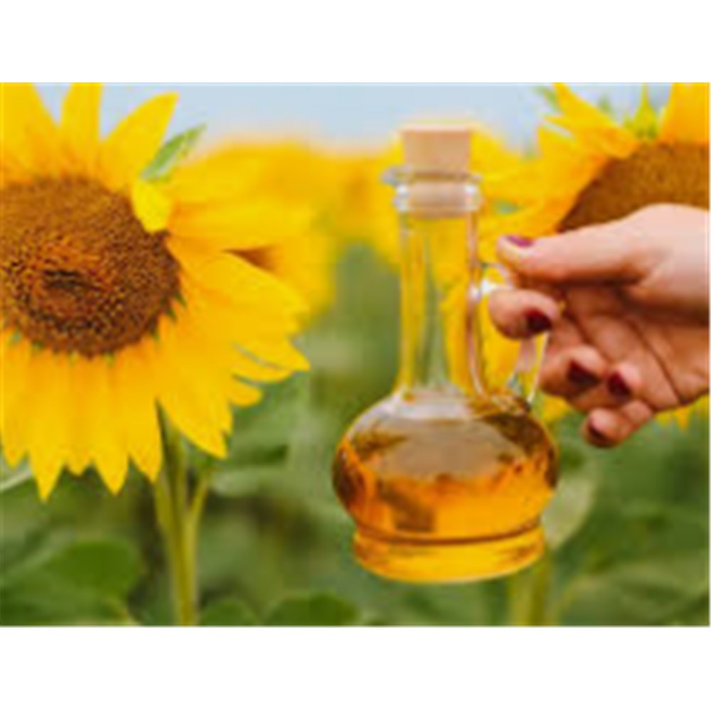 Oil Sunflower Jerry 20lt