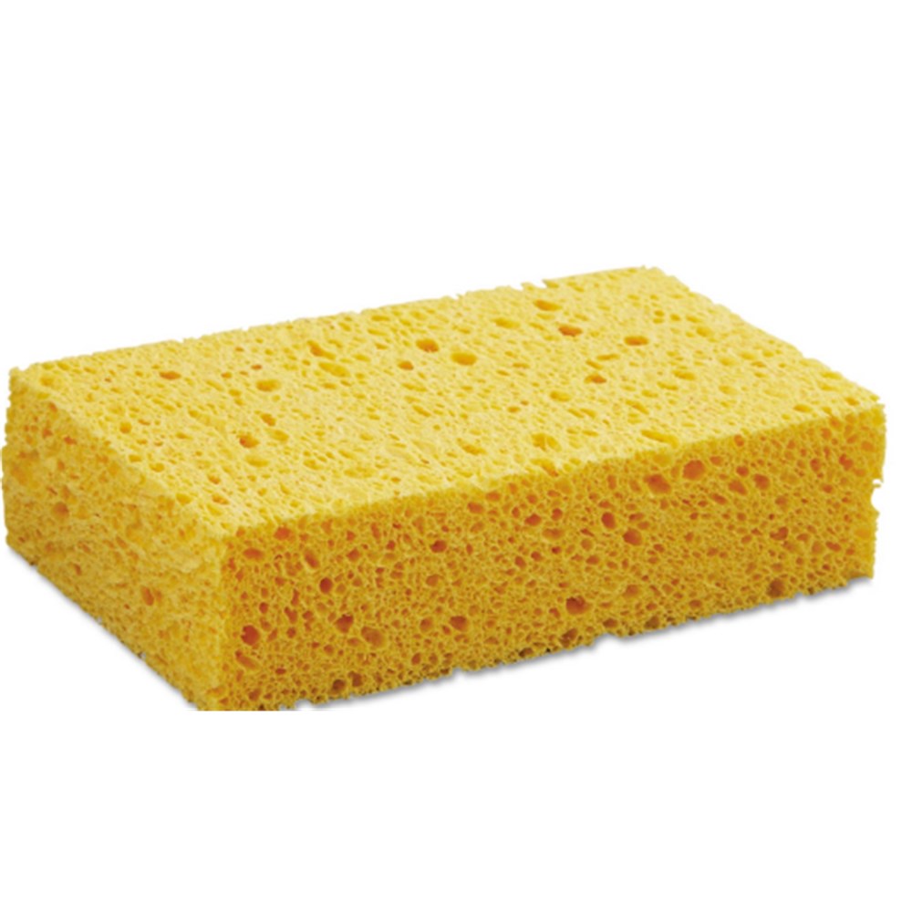 Sponges Large - Yellow x 10