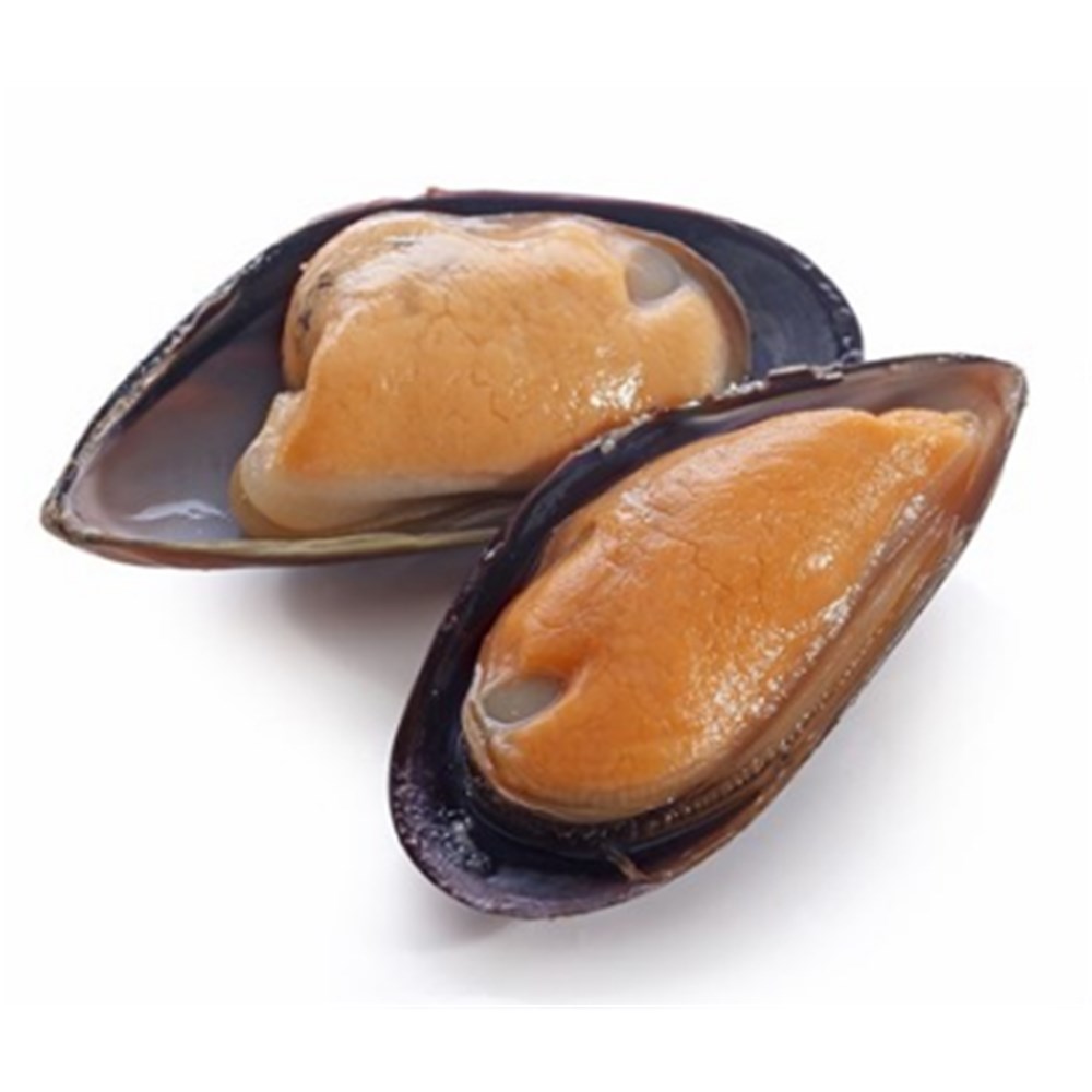 Mussel 1/2 Shell Medium x 1kg