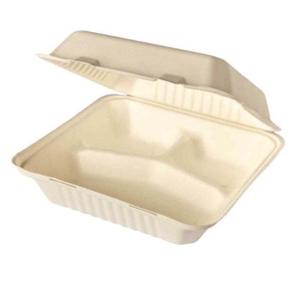 Clamshell Sugarcane 9