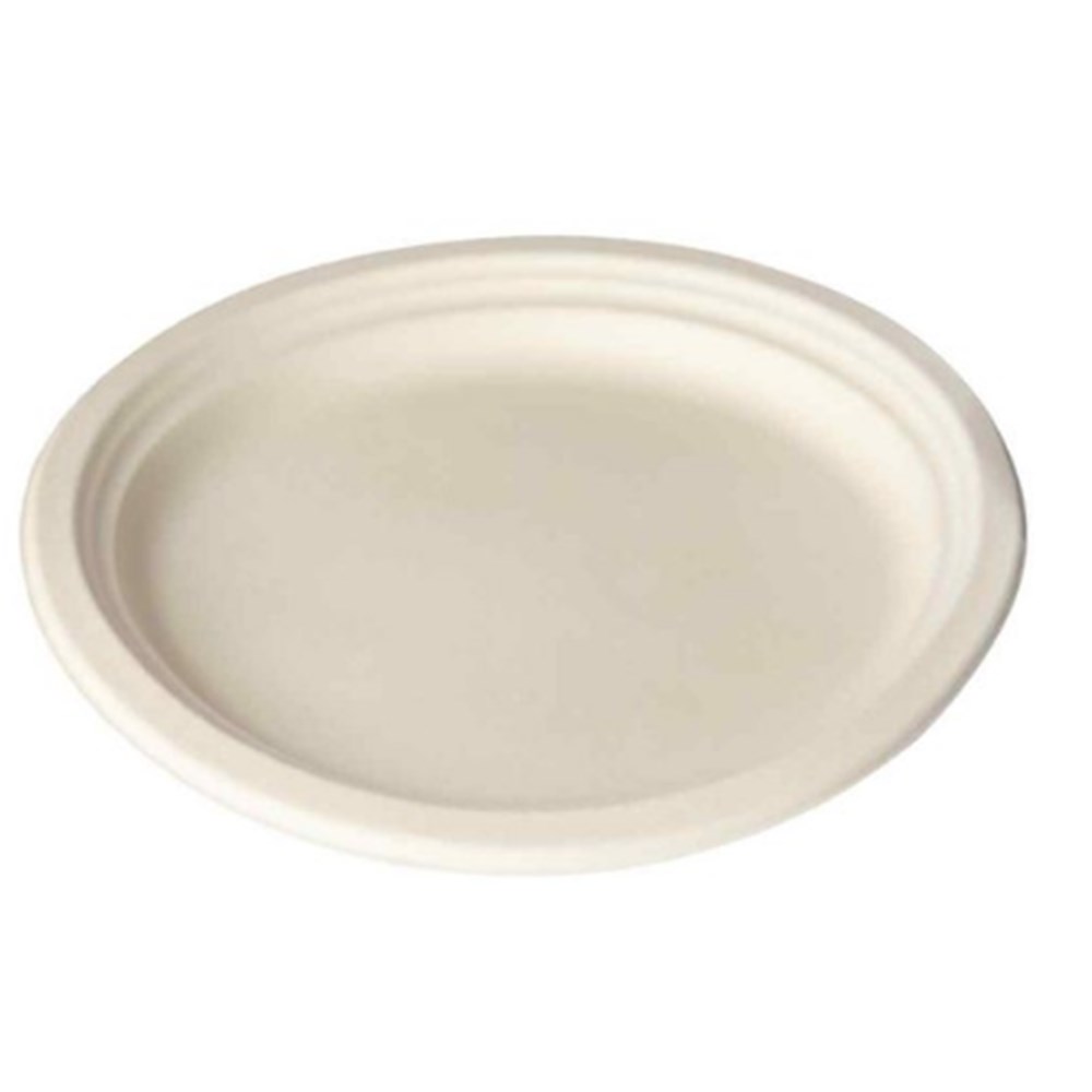 Plate Eco Oval Large 12.5