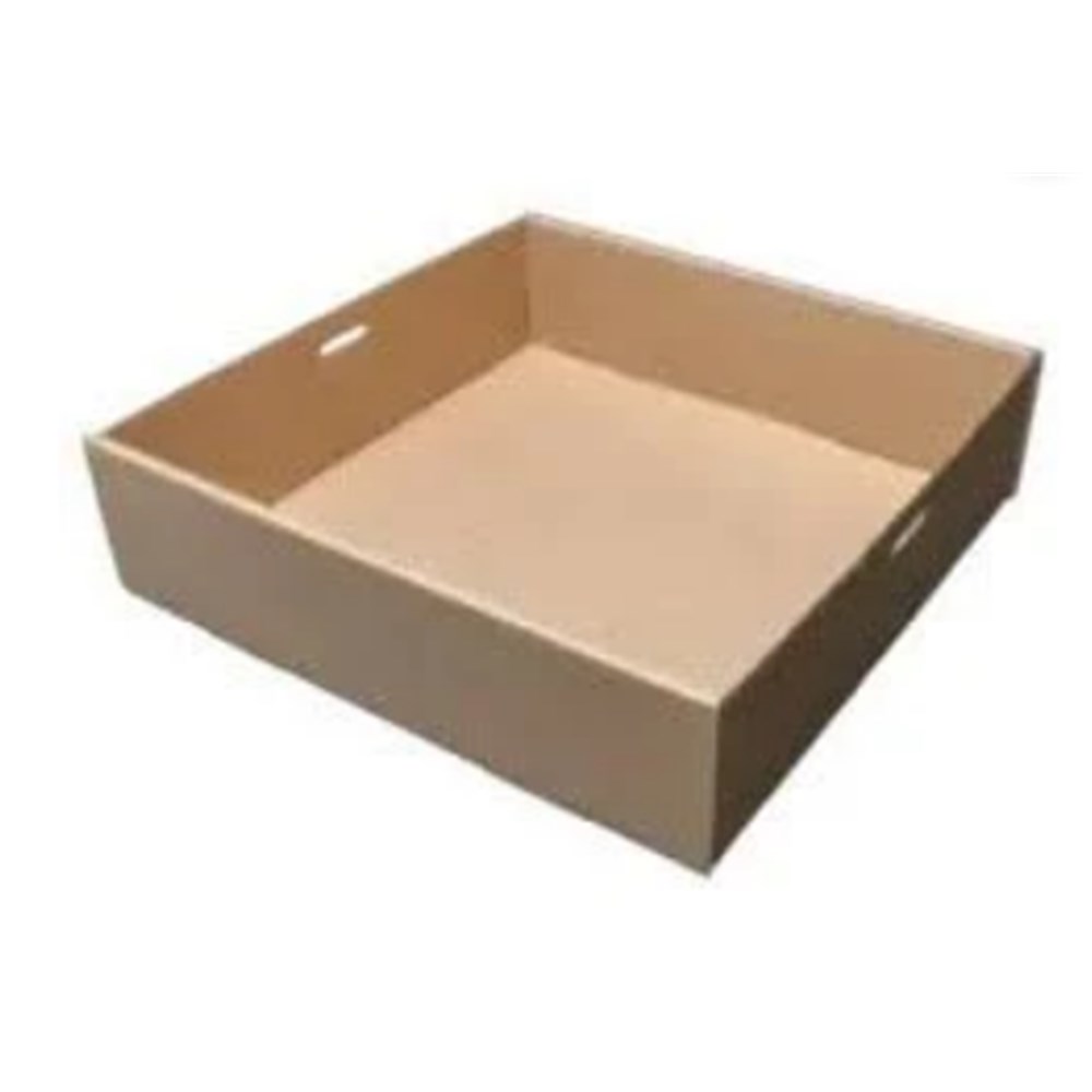 Catering Tray 5 x100