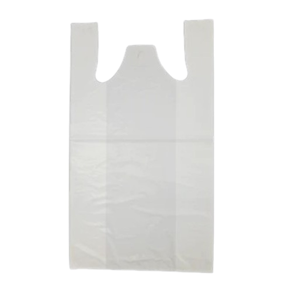 Bag Carry Reusable Large 35um x9kg