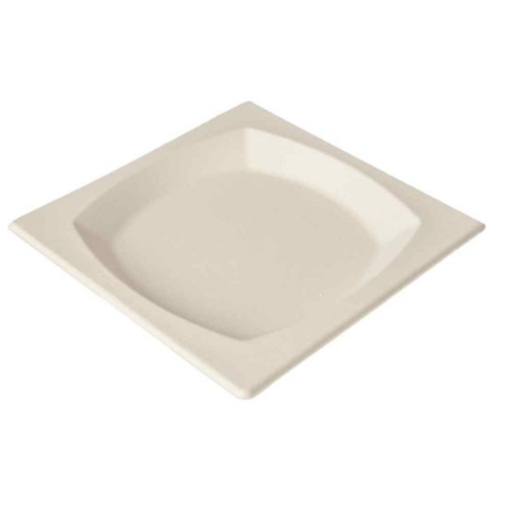 Plate Earth Medium Square 8.5