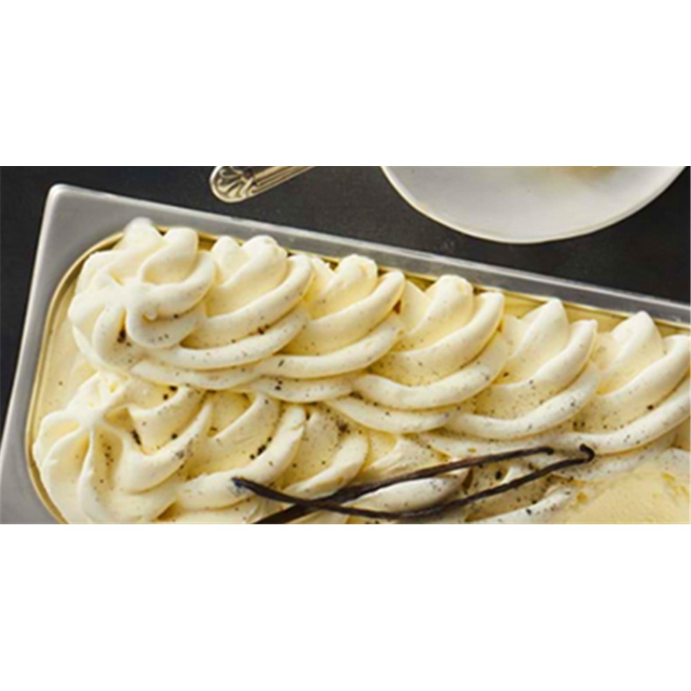 Gelato Vanilla Bean Artisan 5L