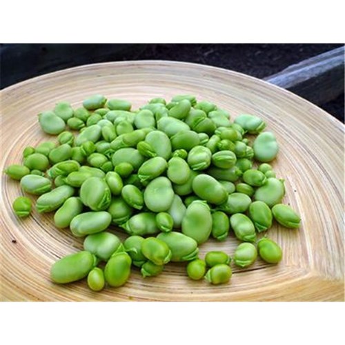 Broad Beans Skin Off 1kg