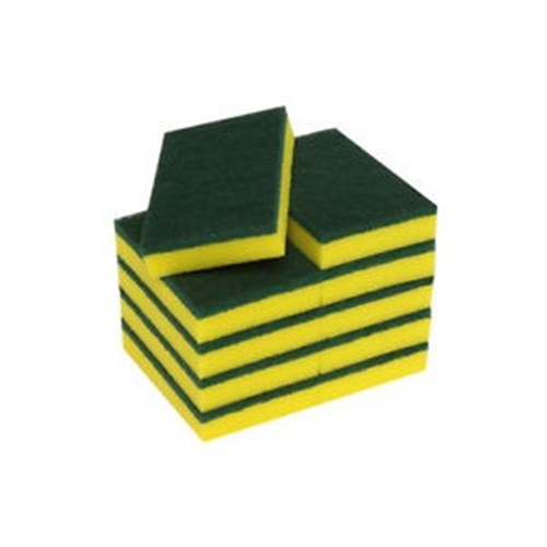 Scourer Sponge Heavy Duty x10