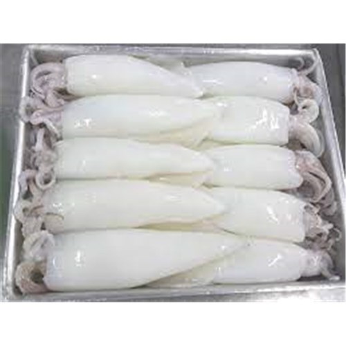 Squid Whole Cleaned 3"/5" 1kg