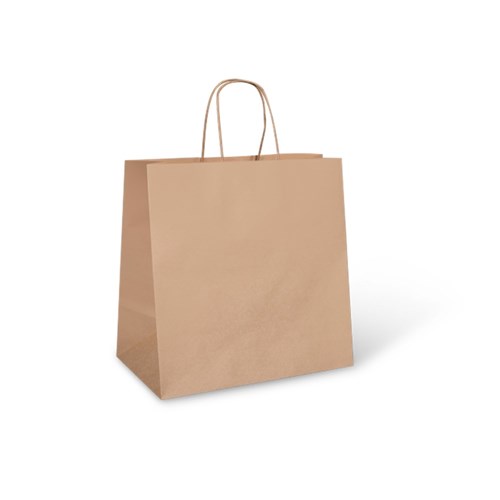 Bags Paper Carry Brown SOS #8 500s With Handle