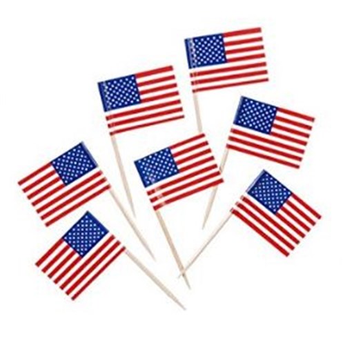 Flags Toothpick USA 500s