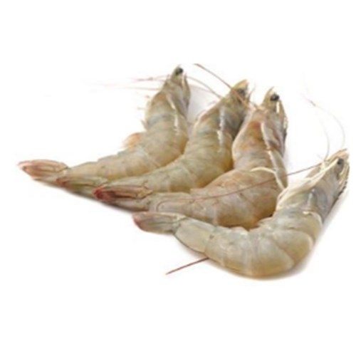 Prawn Whole GREEN King U/10 5kg