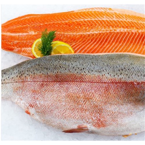 Ocean Trout Fillets Skin On R/W