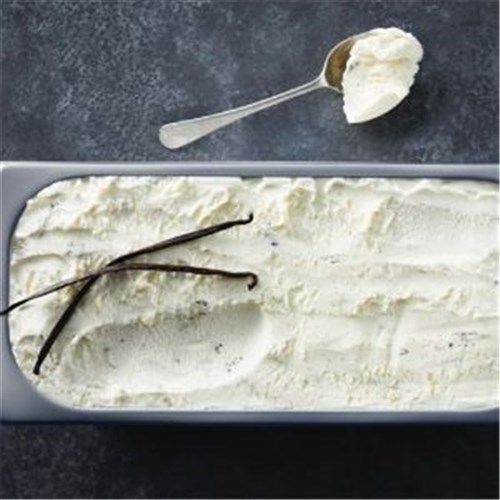 Ice Cream Vanilla Bean 11lt