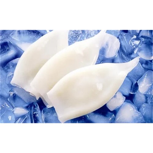 Squid Tube U/5 Tender GG 5kg 