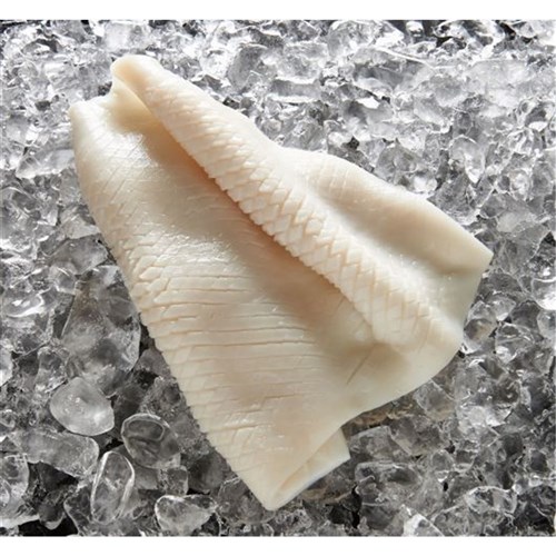 Squid Fillet PINE CUT Tender U/5 5kg