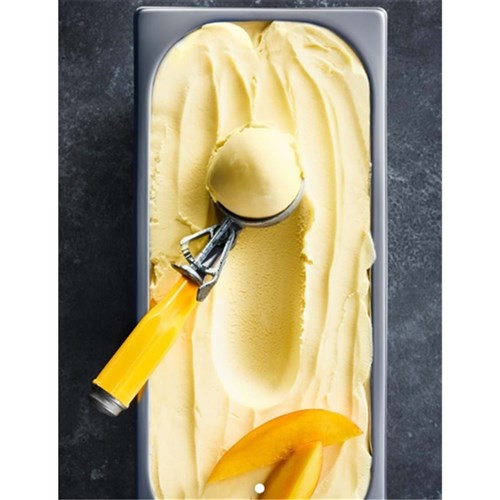 Sorbet Mango 5lt