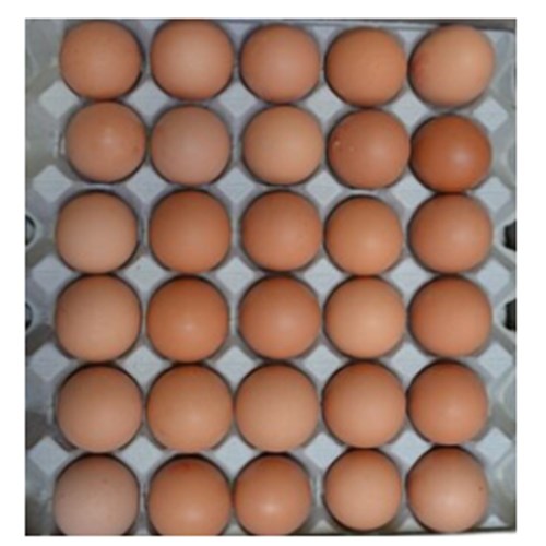 Eggs 700g x 15 Doz