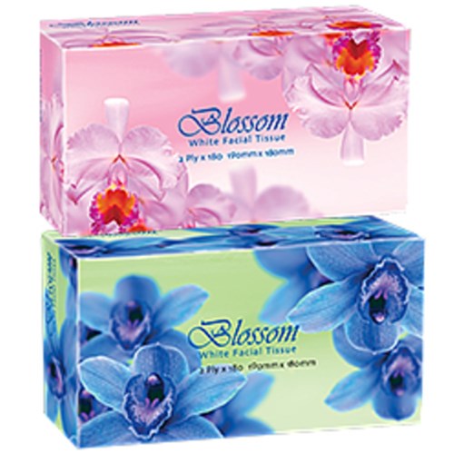 Tissue Facial 2ply (190x180mm)