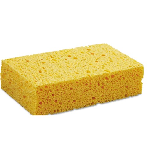 Sponges Large - Yellow x 10