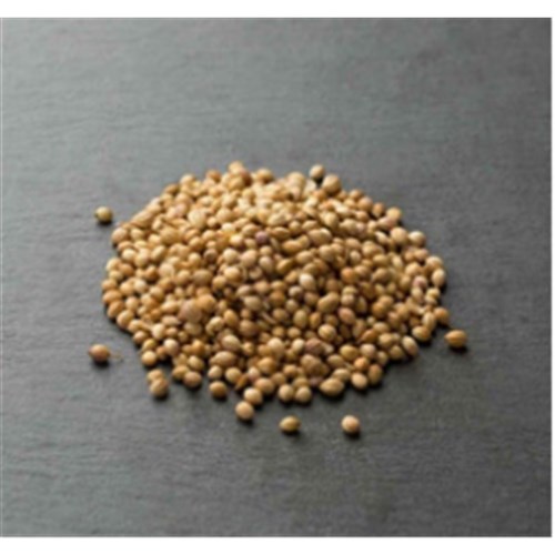 Coriander Seeds Whole 1kg