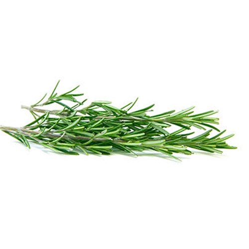 Rosemary Cut 1kg