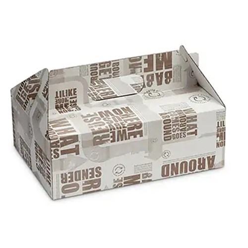 Enviro Carry Box 1 x 100