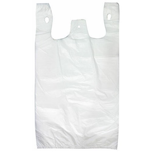Carry Bag Reusable Small 35um x9kg