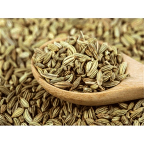 Fennel Seeds Whole x1kg