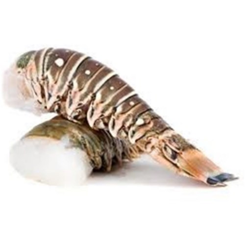 Lobster Tails Raw 4oz W.A