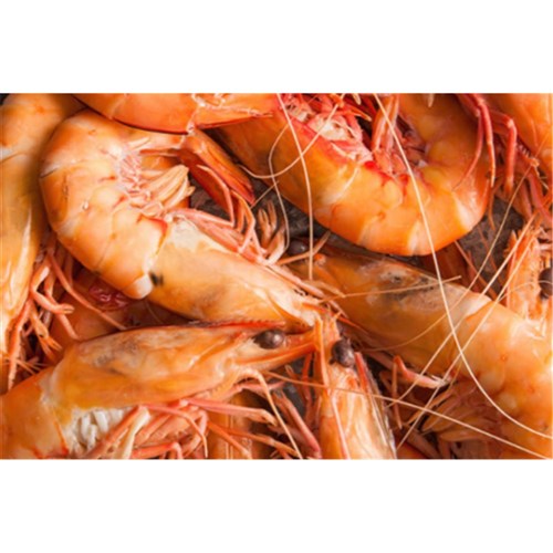 Prawn Whole SA CKD KING 10/15 5kg