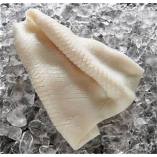 Squid U5 Pineapple Cut Fillet